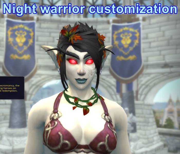 Night warrior customization
