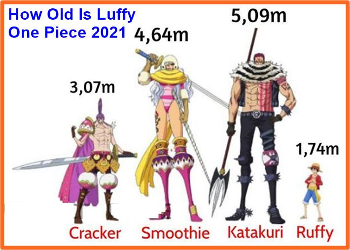 How Old Is Luffy One Piece At 40 And 60 Years Old 21 Straw Hat Crews