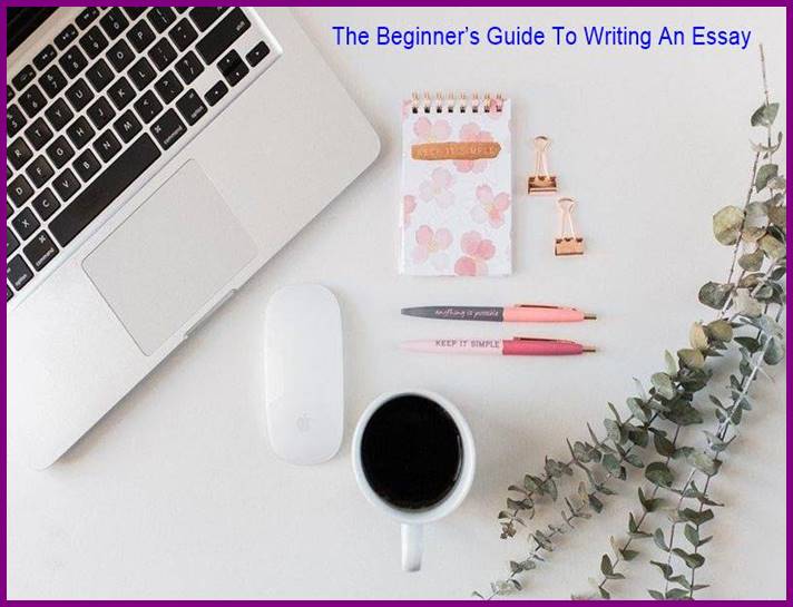 The Beginner’s Guide To Writing An Essay