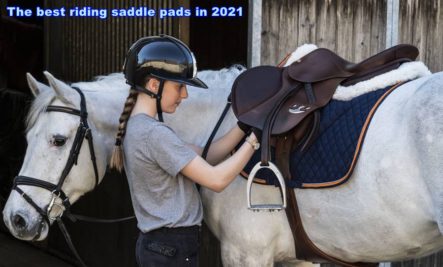The best riding saddle pads in 2021
