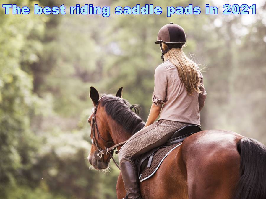 The best riding saddle pads in 2021