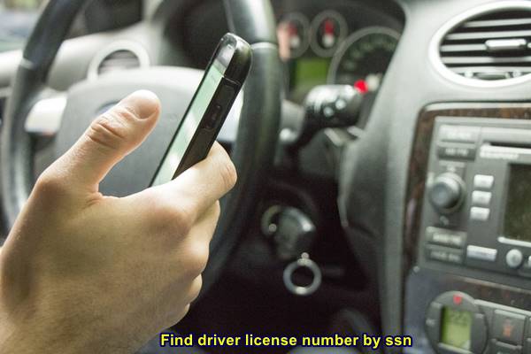 Find driver license number by ssn